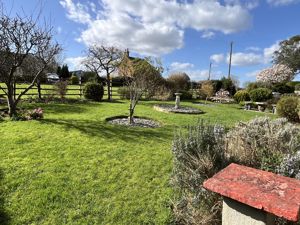 Front garden- click for photo gallery